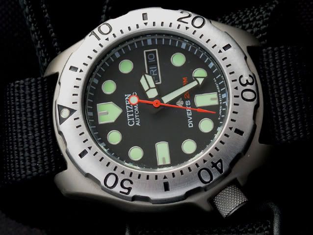 citizen promaster vs seiko prospex